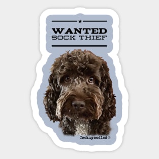 Cockapoo / Doodle Dog Sock Thief Sticker